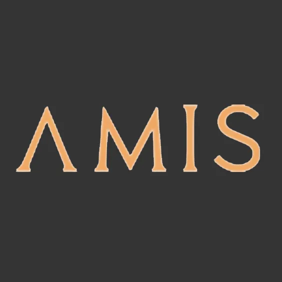 AMIS Development logo